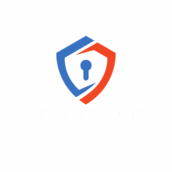 Security Audit 247